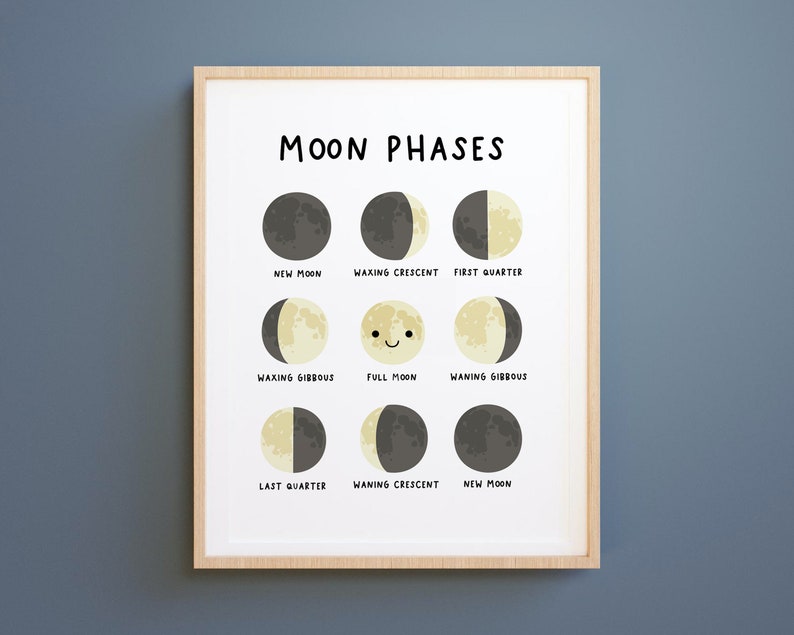 May include: A chart showing the phases of the moon with illustrations of each phase. The phases are labeled: New Moon, Waxing Crescent, First Quarter, Waxing Gibbous, Full Moon, Waning Gibbous, Last Quarter, Waning Crescent, New Moon.