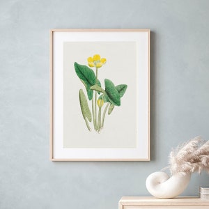 Minimalist Japanese Art, floral japanese, Printable  Botanical Art, Asian Art, Nature Art, Digital Art Download, antique illustrations,