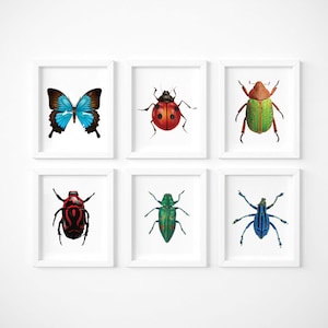 Beetles Art Print SET of 6, insect prints, insect art print, beetle bug art, beetle insect art, art with bugs, bugs print set, kids posters