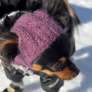Knitting pattern for a dog hat Chihuahuas Toy Terrier and Other Small Pets, Warm Winter Hat Included PDF, Instant Download image 7