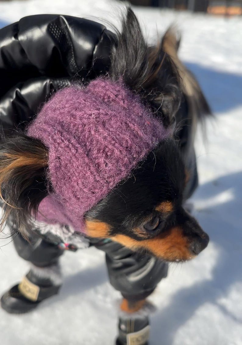 Knitting pattern for a dog hat Chihuahuas Toy Terrier and Other Small Pets, Warm Winter Hat Included PDF, Instant Download image 7