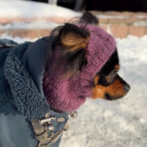 Knitting pattern for a dog hat Chihuahuas Toy Terrier and Other Small Pets, Warm Winter Hat Included PDF, Instant Download image 11