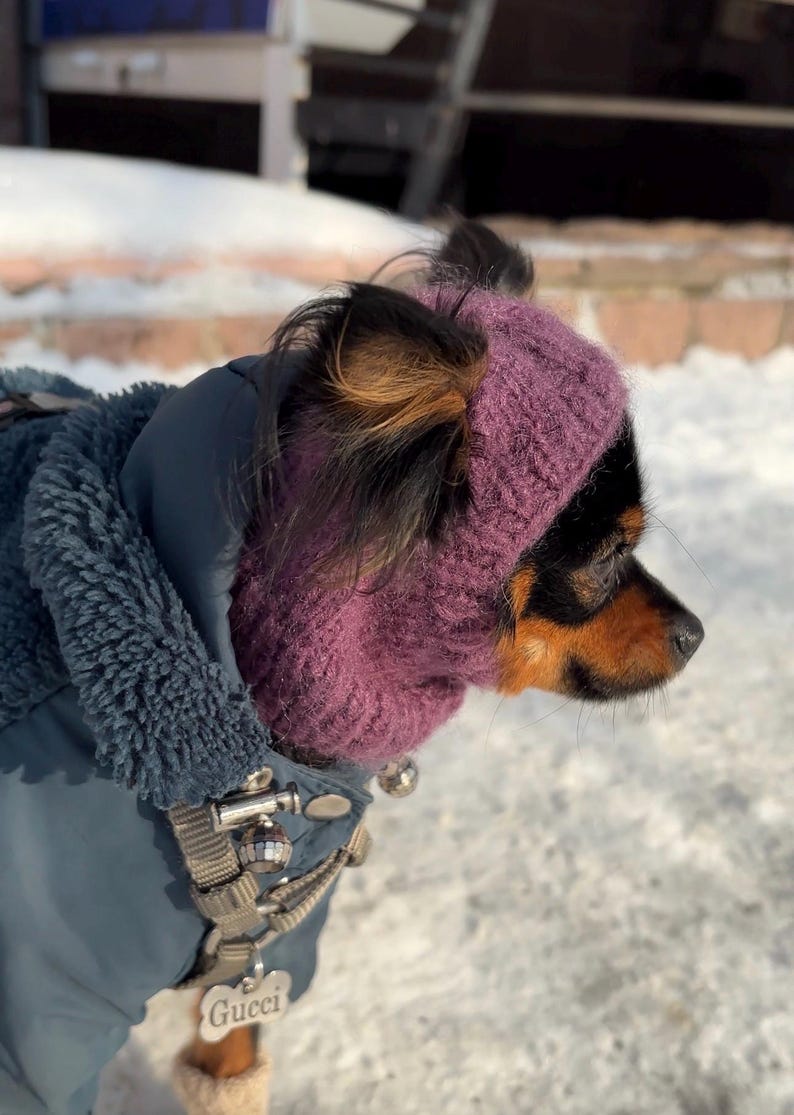 Knitting pattern for a dog hat Chihuahuas Toy Terrier and Other Small Pets, Warm Winter Hat Included PDF, Instant Download image 11