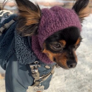 Knitting pattern for a dog hat Chihuahuas Toy Terrier and Other Small Pets, Warm Winter Hat Included PDF, Instant Download image 12