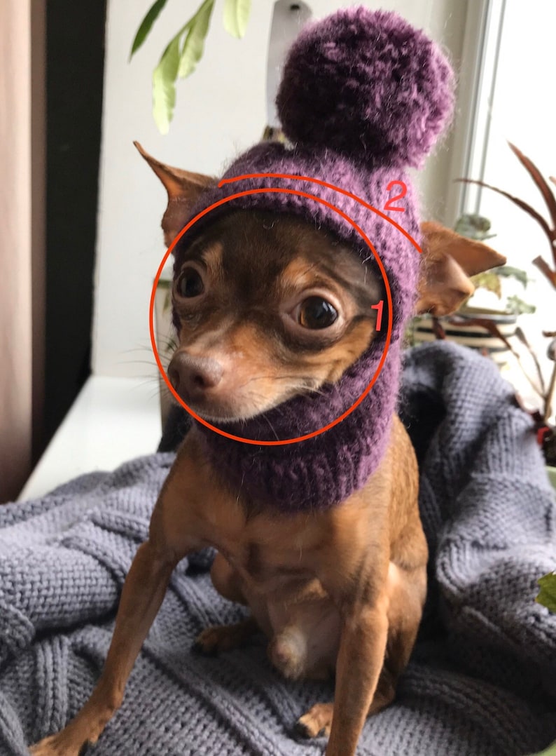 Cozy Knitted Pattern Hat for Chihuahuas and Other Small Pets, Warm Winter Hat with pompon for Dogs Included PDF tutorial, Instant Download image 2