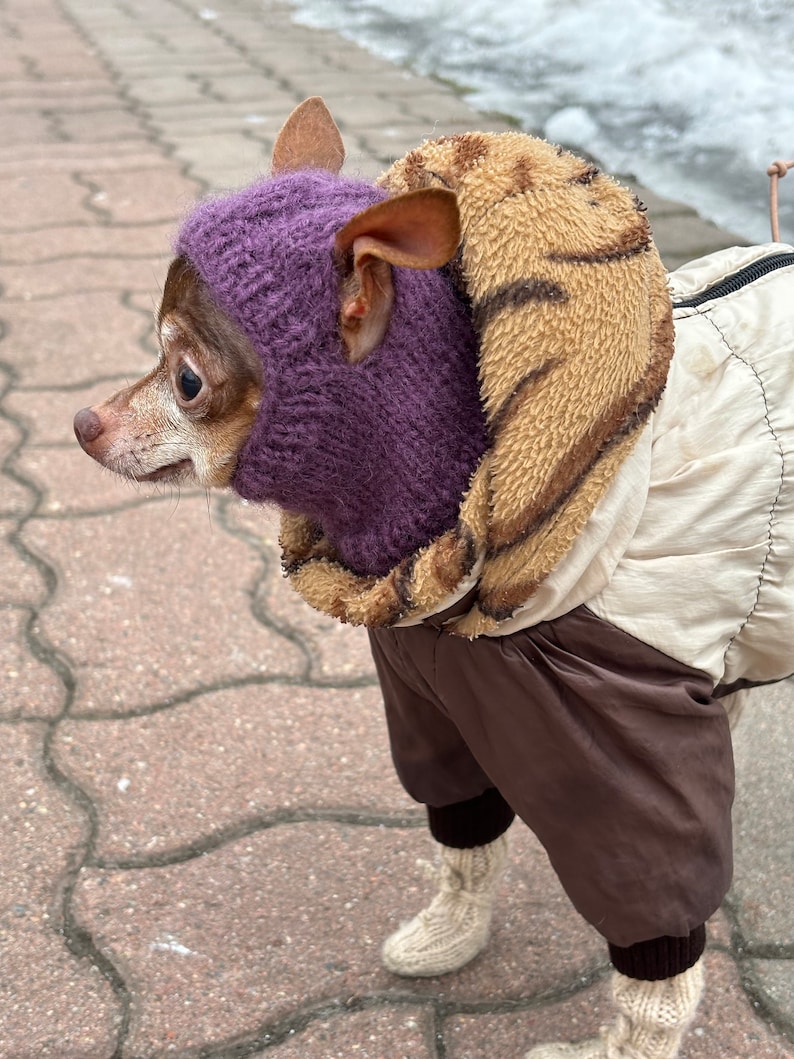 Cozy Knitted Pattern Hat for Chihuahuas and Other Small Pets, Warm Winter Hat with pompon for Dogs Included PDF tutorial, Instant Download image 9