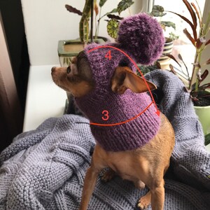 May include: Purple knitted dog hat with a pom pom on top. The hat has a wide brim and a neck warmer. The hat is on a small dog.
