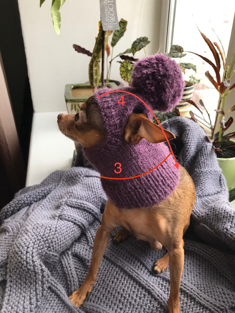 May include: Purple knitted dog hat with a pom pom on top. The hat has a wide brim and a neck warmer. The hat is on a small dog.