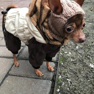 Knitting pattern for a dog hat Chihuahuas Toy Terrier and Other Small Pets, Warm Winter Hat Included PDF, Instant Download image 6