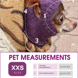 Knitting pattern for a dog hat Chihuahuas Toy Terrier and Other Small Pets, Warm Winter Hat Included PDF, Instant Download image 2