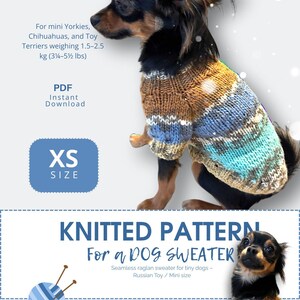 May include: A small dog wearing a knitted XS size sweater with blue, brown, and tan stripes. The image includes text that says "KNITTED PATTERN for a DOG SWEATER" and "For mini Yorkies, Chihuahuas, and Toy Terriers weighing 3¼-5½ lbs."