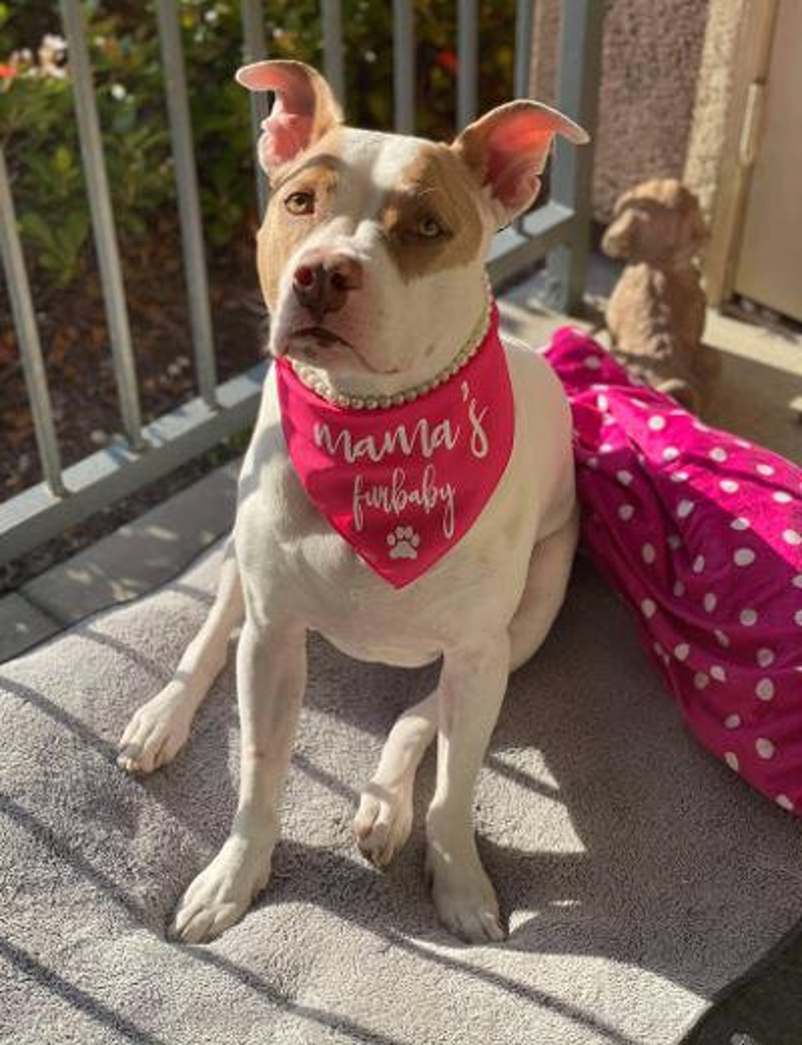 Dog Bandanas With Cute Sayings Etsy UK