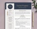 Resume Template for Word & Pages, CV Template, Modern Resume Template Instant Download, Marketing Resume, Executive Resume Template 