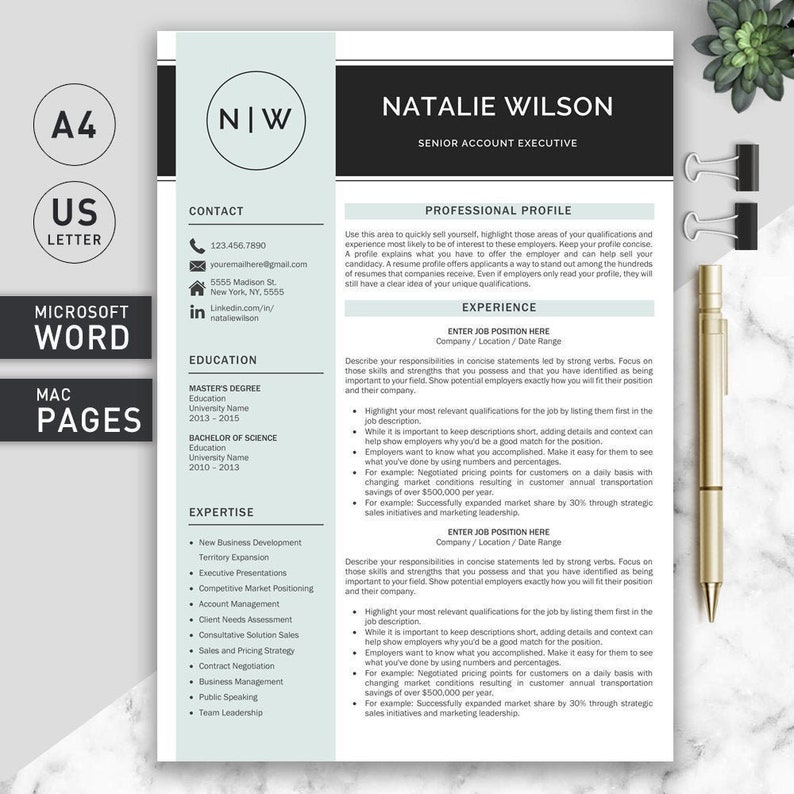 May include: A light blue and gray resume template with the text "NIW" in black at the top. The resume is for Natalie Wilson, Senior Account Executive. The resume includes contact information, education, expertise, and experience.