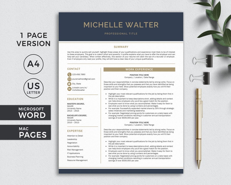 Modern Executive Resume Template for Word & Apple Pages, Professional ...