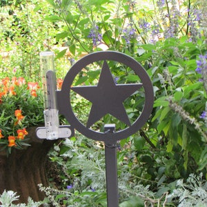 Rain gauge, TX star, Yard decor