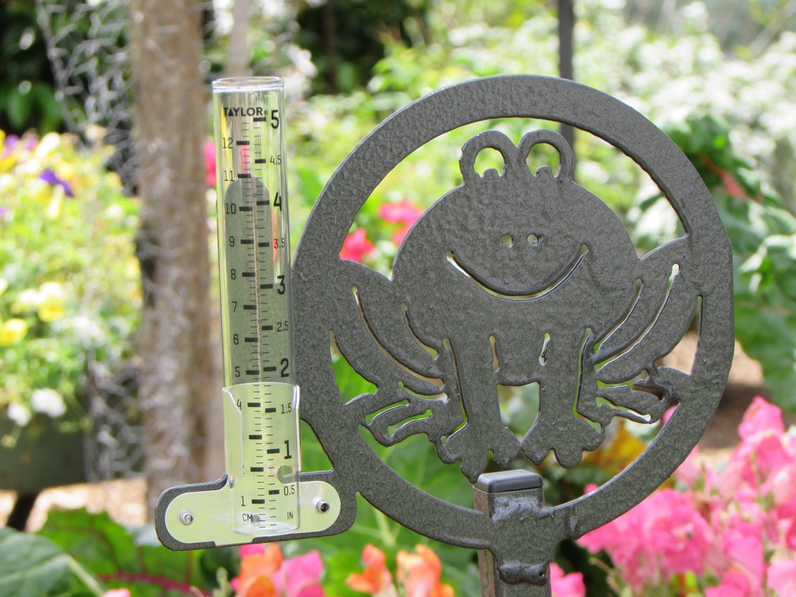 Frog Rain Gauge Etsy