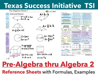 Texas Success Initiative Instant Download Fill-in Study - Etsy