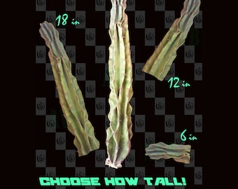 Semi-Monstrose Peruvian Apple Cactus · Top Cutting · CHOOSE HOW TALL!! ··· Variable Height · Cereus repandus var. semi-monstrosus · low mntc