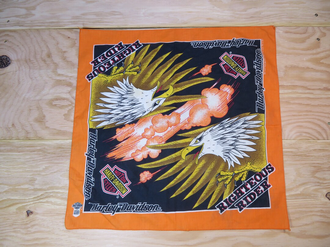 Filtre à Douche écologique (Charbon actif Filtre à Douche écologique (Charbon actif