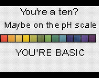 You're Basic Digital Cross Stitch Pattern