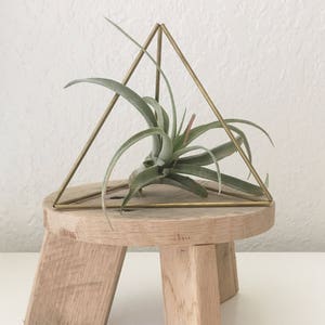 May include: A small wooden stool with three legs, topped with a round wooden platform. A gold geometric triangle frame holds a green air plant.