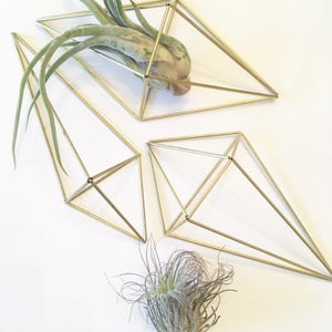 Könnte beinhalten: Drei goldene geometrische Hängepflanzenhalter, zwei sind leer und einer hat eine grüne Luftpflanze drin.