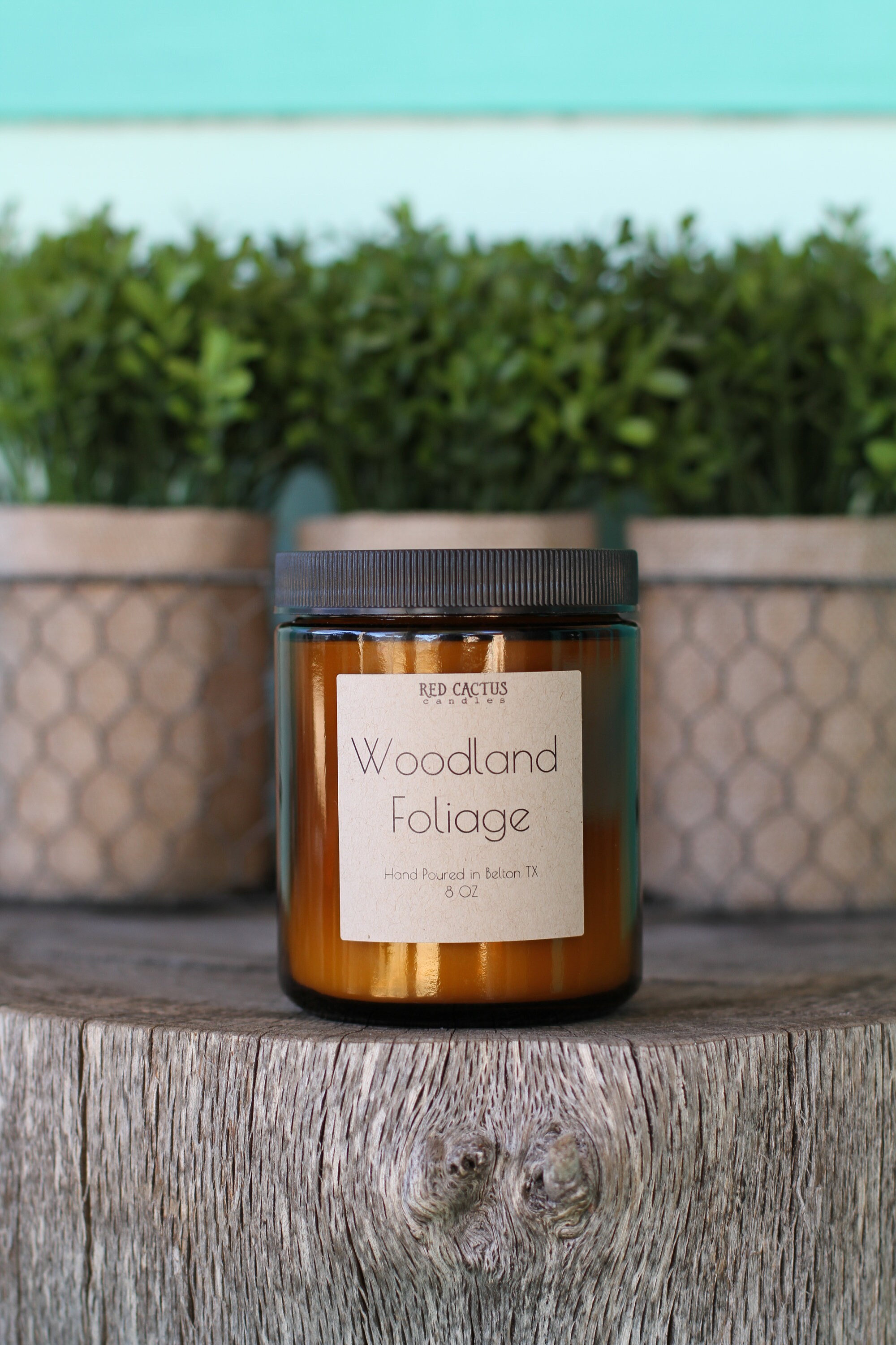Woodland Foliage Scented Candle 8 Oz Etsy
