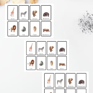 Animals | Animals | English,Spanish,Dutch| Dutch | English Spanish Flashcards