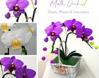 Moth Orchid Crochet Pattern - Crochet Orchid Pattern - Crochet Flower Pattern - Orchid Crochet - Crochet Home Decor - 3D Crochet Patterns