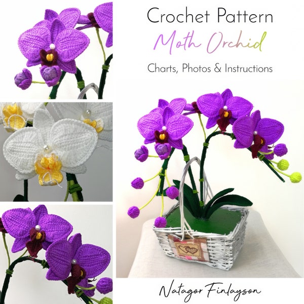 Moth Orchid haakpatroon - gehaakt orchideepatroon - gehaakt bloemenpatroon - orchidee gehaakt - gehaakt interieur - 3D haakpatronen