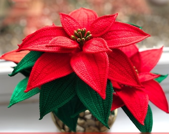 May include: Crochet pattern for a poinsettia flower. The flower is red with green leaves. The pattern is called "Poinsettia".