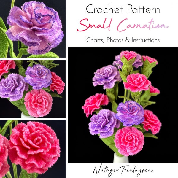 Crochet Carnation Pattern - 3 Sizes of Carnation in 1 Pattern - PDF Digital Download - Home Decor & Gift - US Terms - English Instructions