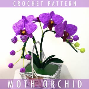 Moth Orchid Crochet Pattern - Crochet Orchid Pattern - Crochet Flower Pattern - Orchid Crochet - Crochet Home Decor - 3D Crochet Patterns