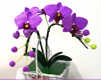 Crochet Moth Orchid Pattern: Intermediate Level (PDF Download)