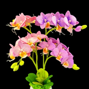 May include: A bouquet of pink and purple orchids in a green pot. The orchids are arranged in a cluster with their stems extending upwards. The flowers are in full bloom and have a delicate, feminine appearance.