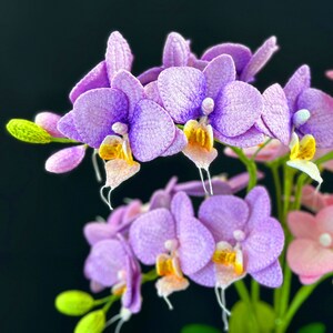 May include: A cluster of pink and purple orchids with yellow centers. The orchids are arranged in a bouquet and have a delicate, feminine appearance.