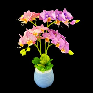 May include: A potted orchid plant with pink and purple flowers in a blue and white striped ceramic pot.