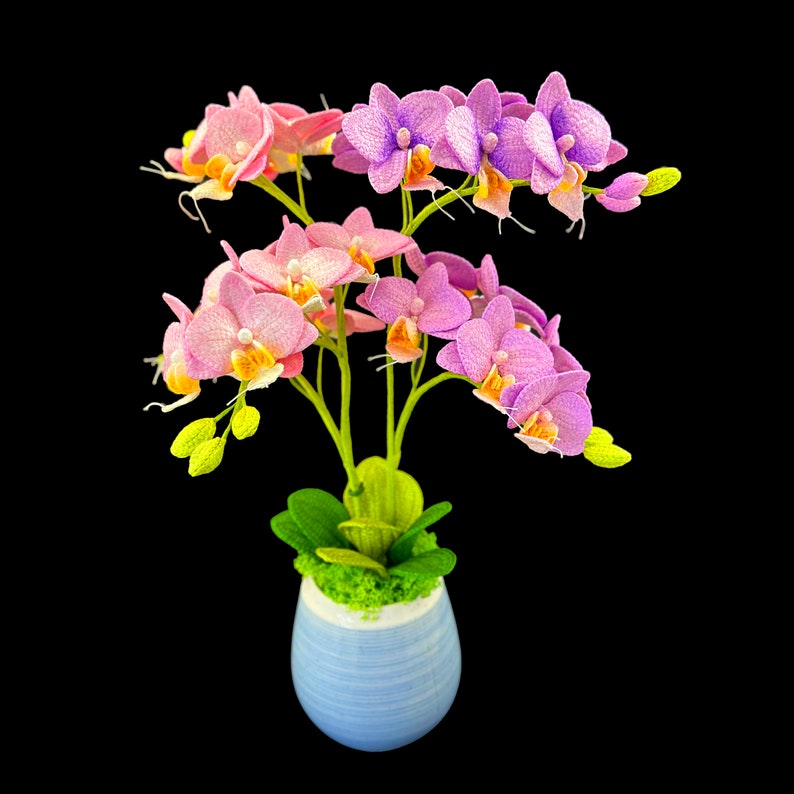 May include: A potted orchid plant with pink and purple flowers in a blue and white striped ceramic pot.