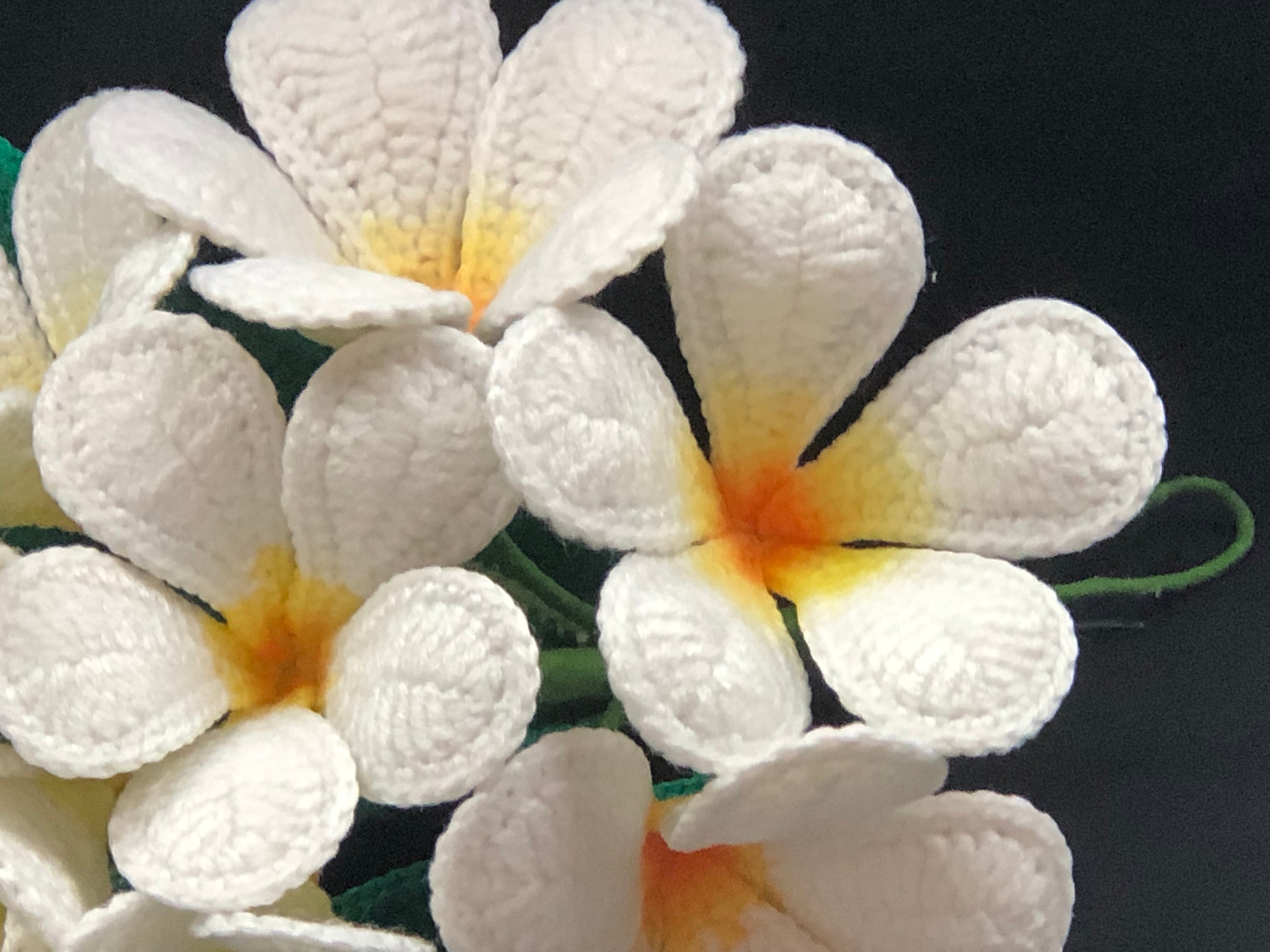 Crochet Plumeria Flower Flower Pattern for Frangipani Etsy