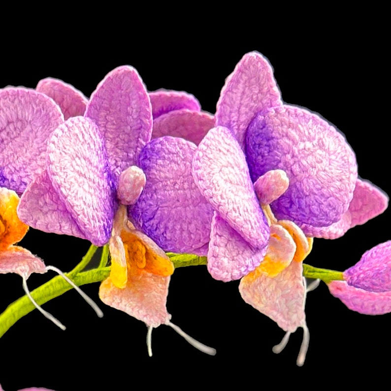 May include: Close-up of pink and purple orchid flowers with yellow centers. The flowers are arranged in a cluster and have a delicate, textured appearance.