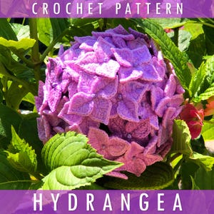Könnte beinhalten: Nahaufnahme einer gehäkelten Hortensienblüte in Lila- und Rosatönen, umgeben von grünen Blättern. Der Text "CROCHET PATTERN" steht oben und "HYDRANGEA" unten.