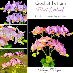 May include: Crochet pattern for a Phalaenopsis orchid, also known as a moth orchid. The pattern includes charts, photos, and instructions. The image shows a pink and purple crocheted orchid in a pot.