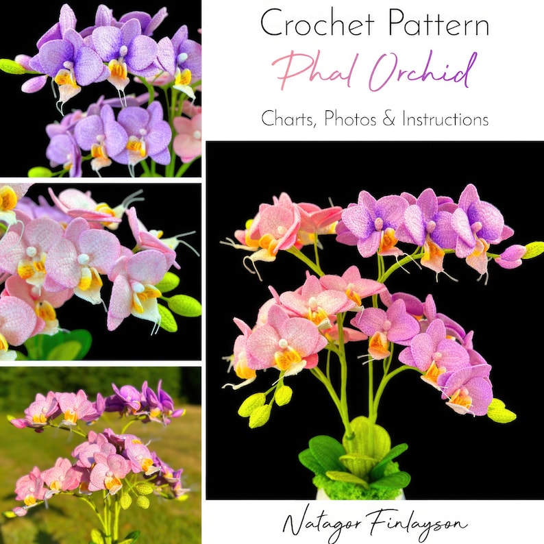 May include: Crochet pattern for a Phalaenopsis orchid, also known as a moth orchid. The pattern includes charts, photos, and instructions. The image shows a pink and purple crocheted orchid in a pot.