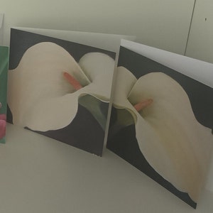 Biglietto Arum Lily, Biglietto d'auguri, Biglietto d'auguri per lei, Biglietto d'auguri per lui, Biglietto d'auguri per insegnante, Biglietto d'auguri papà, Biglietto floreale del Sud Africa