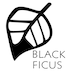 BlackFicus store logo