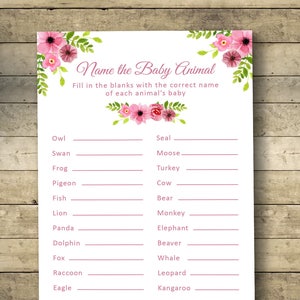 Blumen Name das Baby Tier, Baby Shower Spiele, Name das Baby Tier Spiel, Baby Spiel, Floral Baby Shower, Printable, Aquarell Blumen