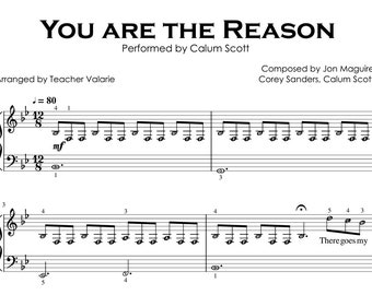 Vous êtes la raison | Partition Piano pour Facile - Moyen avec noms de notes