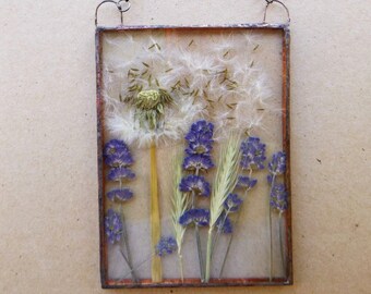 Dandelion head glass decor, pressed lavender frame, dried grass