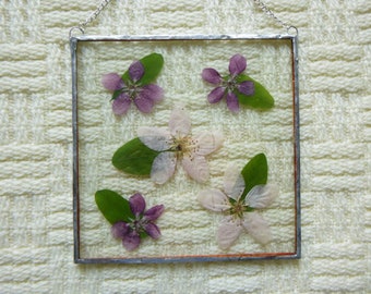 Wild apple blossom frame, pressed leaf art, hanging terrarium